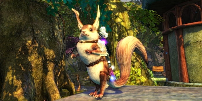 Игровой магазин: дикая мода