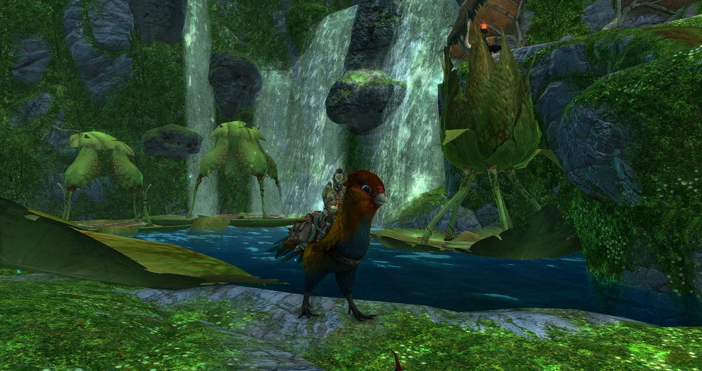 Ивент Призыв к действию: Budgie Madness возвращается tropical-budgie