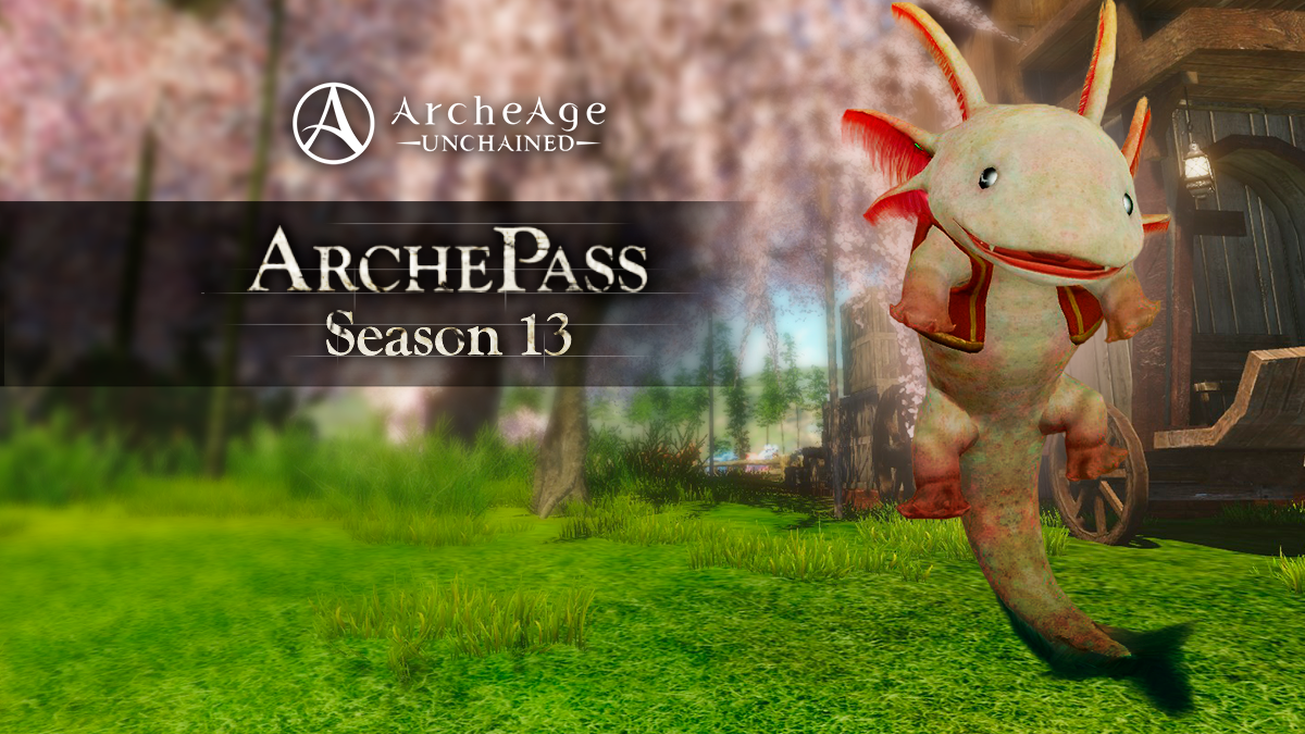 Introducing: The Lotty Pass