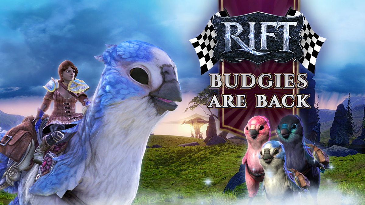 Head to the races for budgie days!